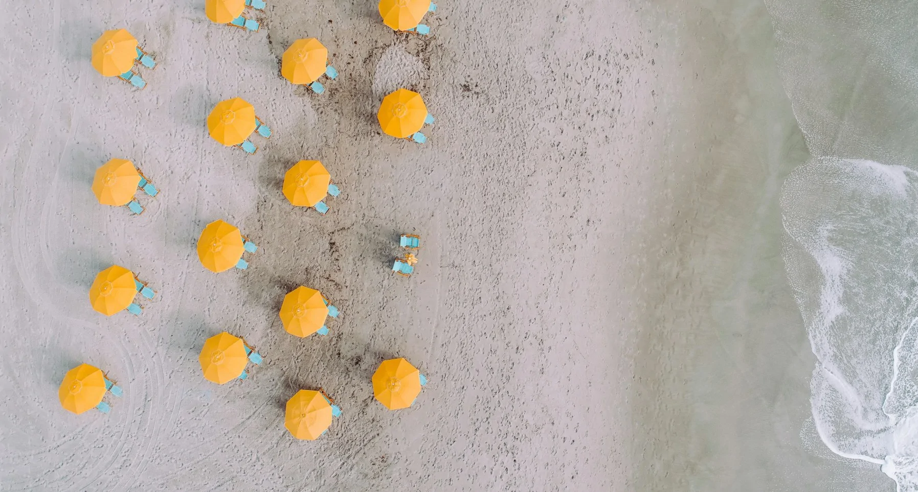 annie-spratt-8GR2aafk9PE-unsplash (1) (1) (1).jpg