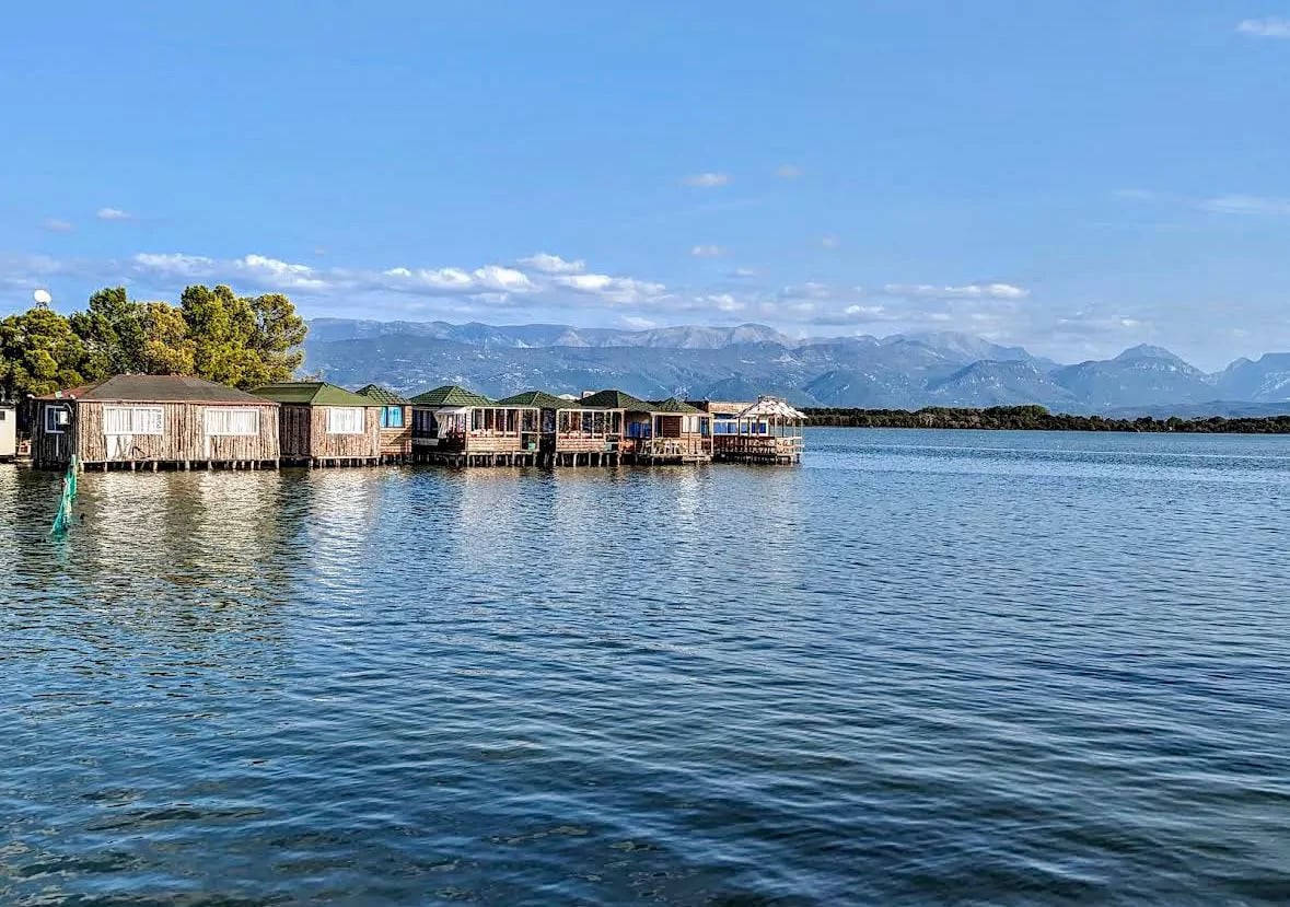 Vedi tutte le foto