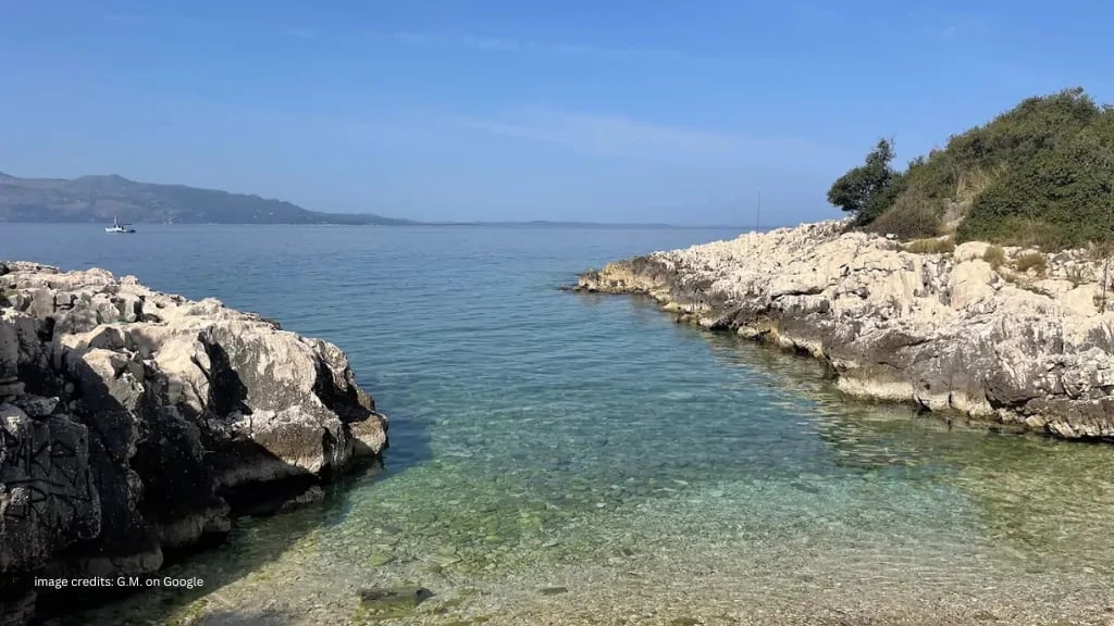 Vedi tutte le foto