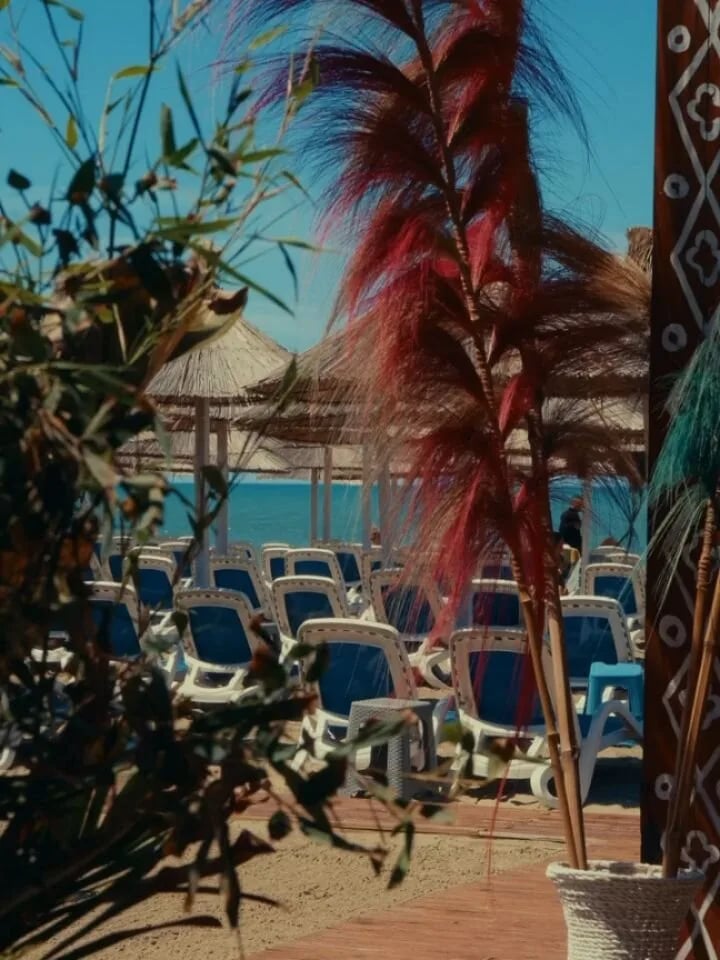 Beach Bar Bamboo