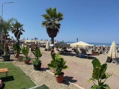 Beach Bar Bamboo