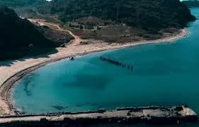 Shiko të gjitha fotot