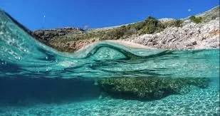 Vedi tutte le foto