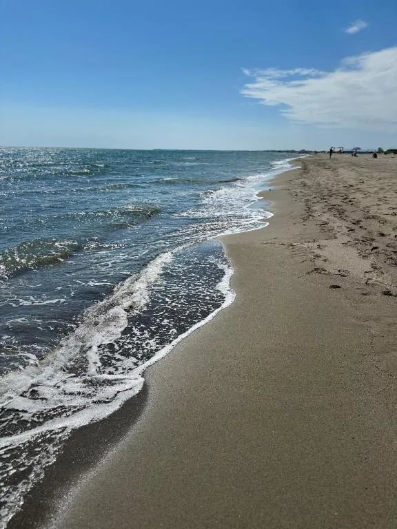 Vedi tutte le foto