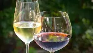 Glass of Wine
